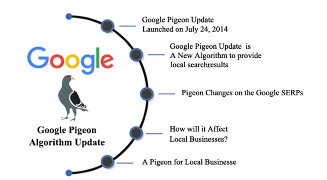 Chiến lược Google Pigeon trong SEO website hiệu quả